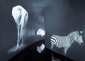 KTV生意不好，看完這七條你就找到原因了！